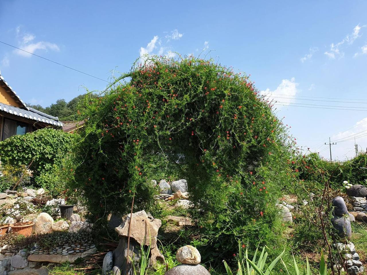 Grace River House Block A - Couple Room Hoengseong Luaran gambar